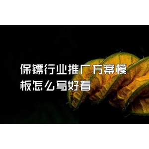 保鏢行業推廣方案模板怎么寫好看